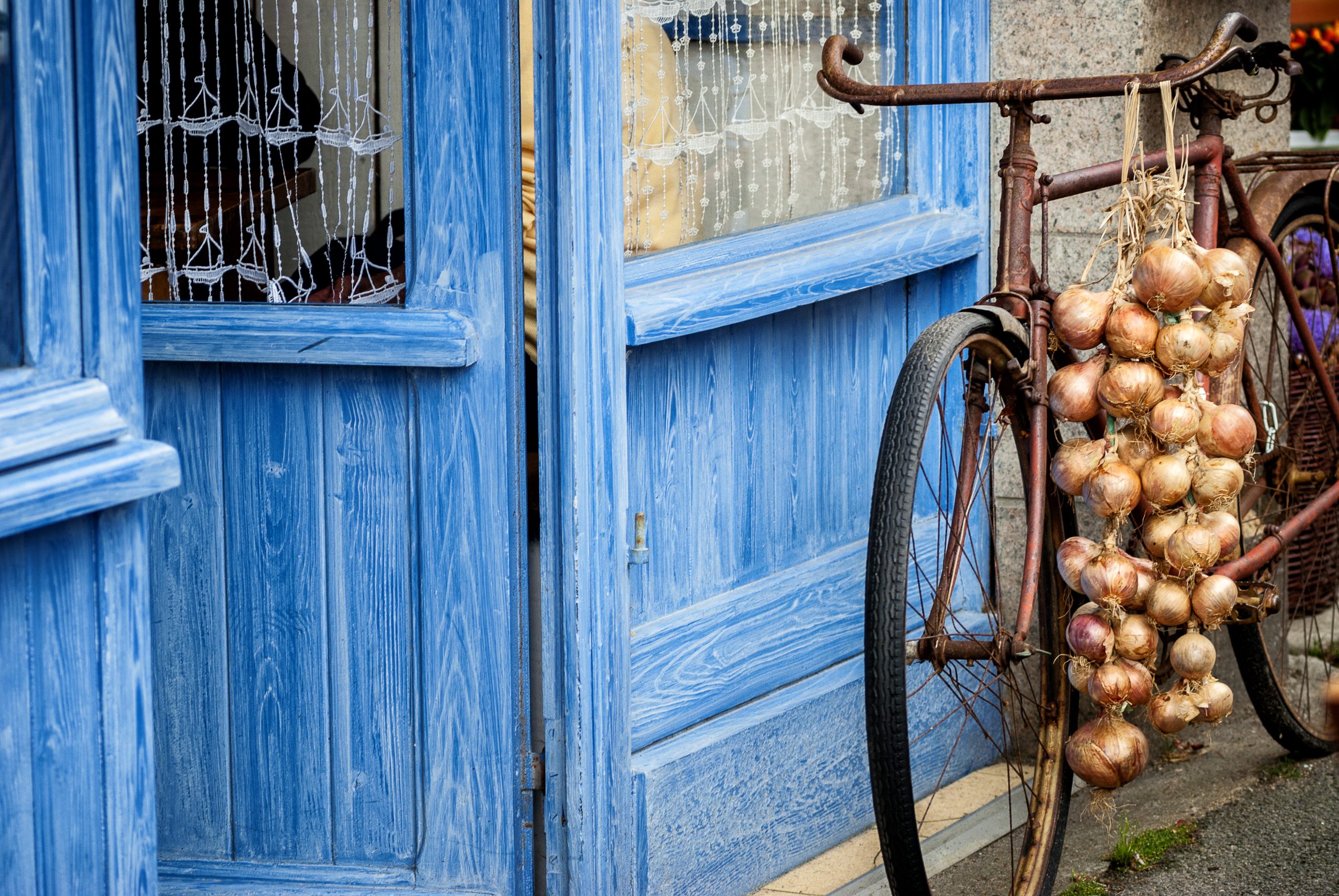 Cebollas de Roscoff